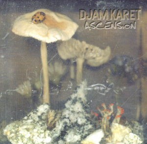 Djam Karet - Ascension